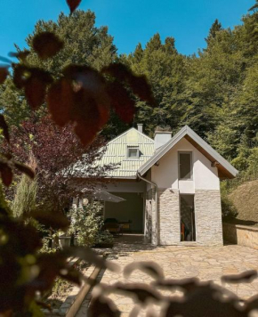 Villa Sunset Hill Pazarić